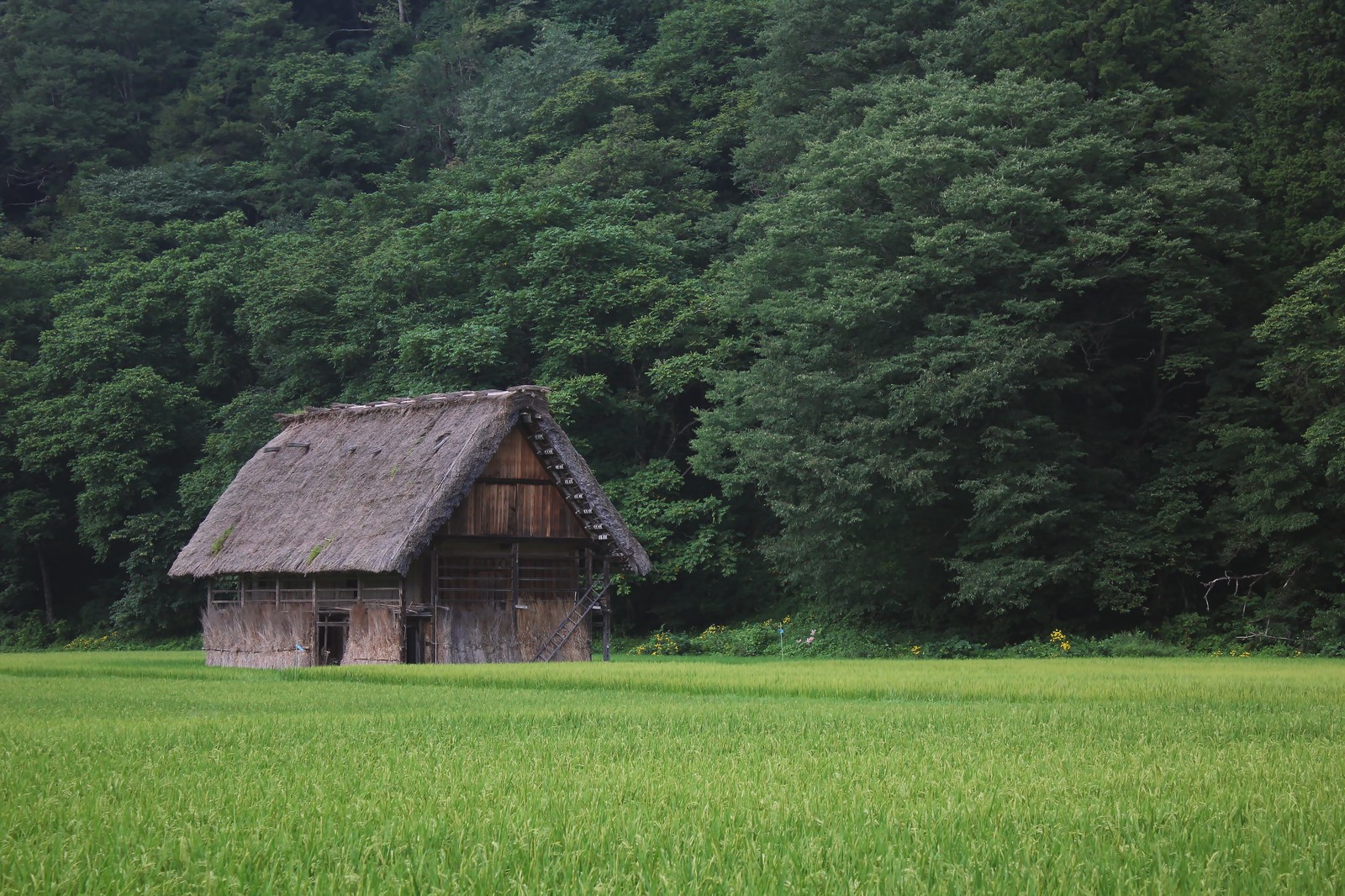 田舎の家